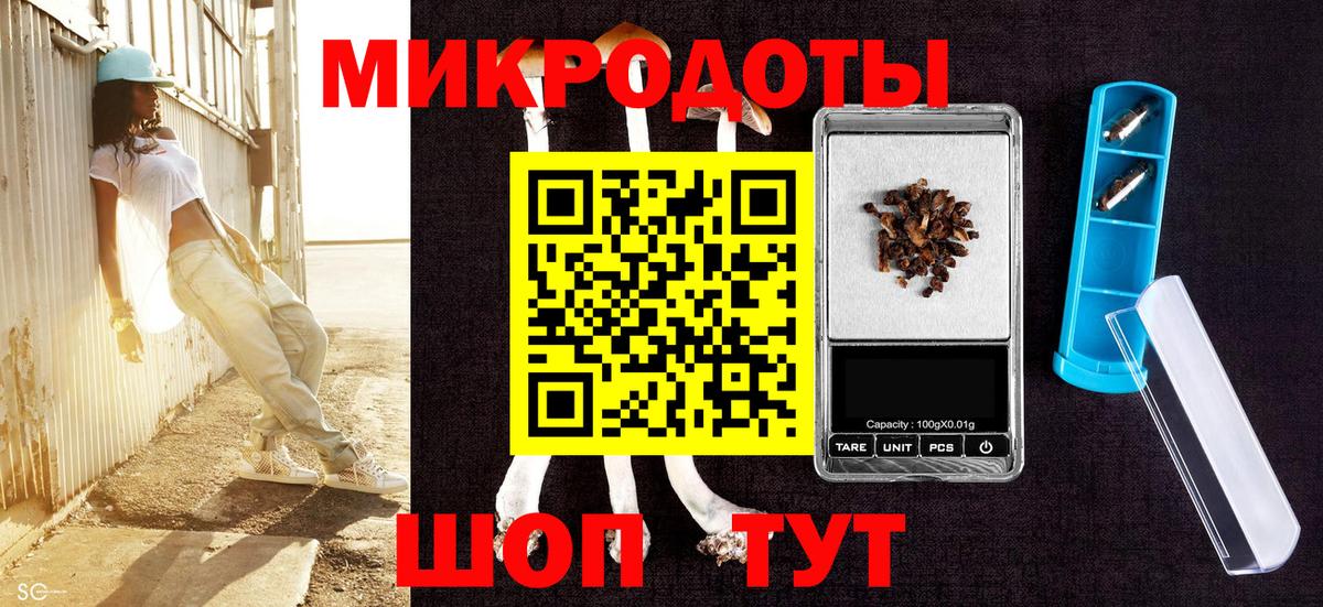 Псилоцибиновые грибы Psilocybine cubensis Гудермес