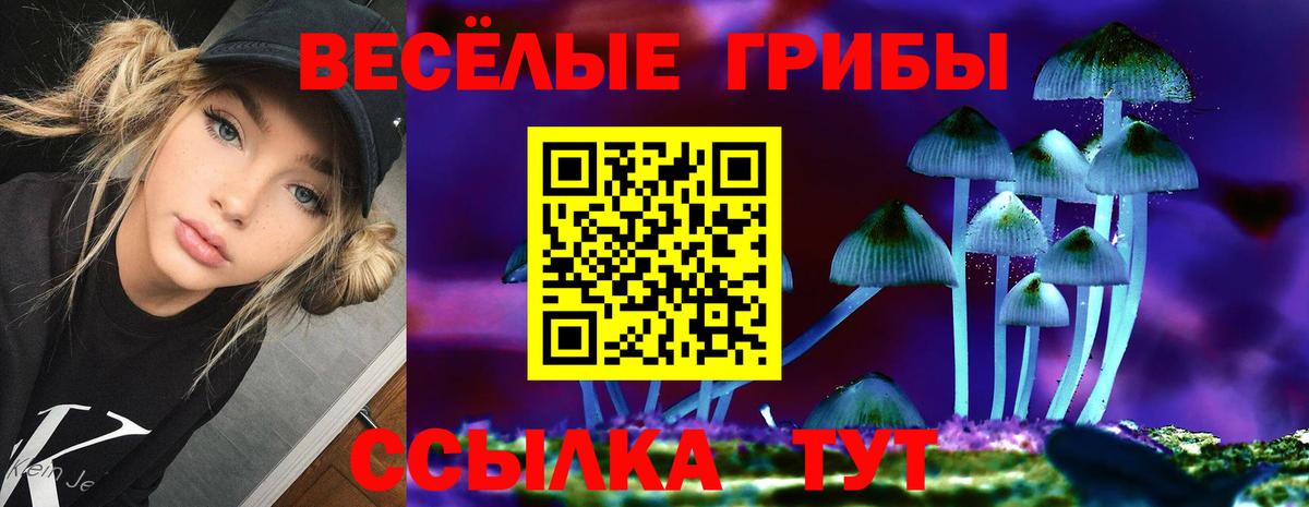 Галлюциногенные грибы прущие грибы  Галлюциногенные грибы MAGIC MUSHROOMS  Гудермес  Вход с VPN 