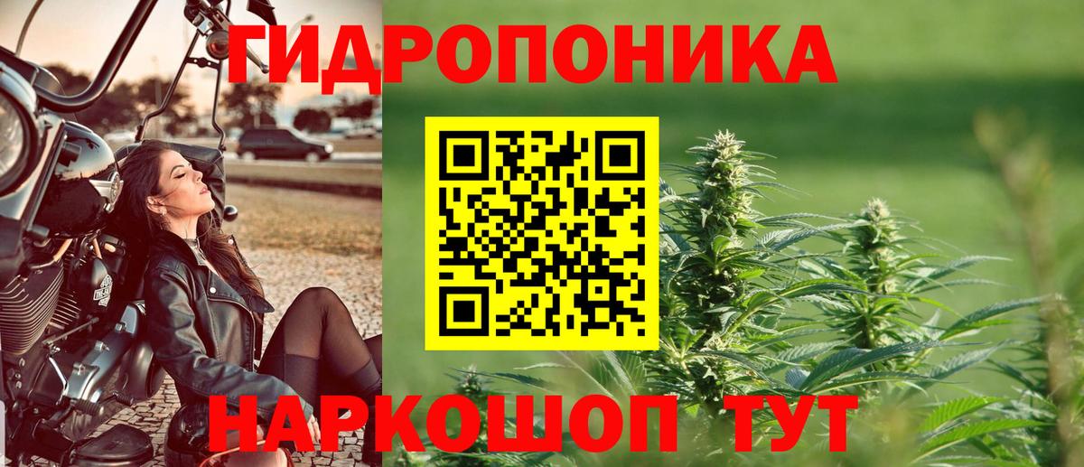 Гудермес  Конопля Bruce Banner  Вход с VPN  МАРИХУАНА White Widow  МАРИХУАНА марихуана 